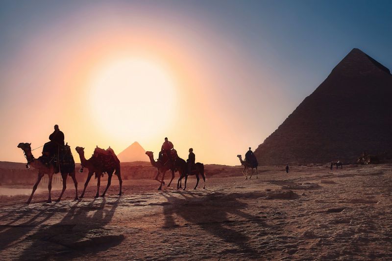 Cammelli alle piramidi di Giza