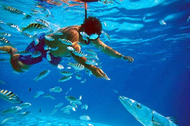 Dahab Full-Day Adventure