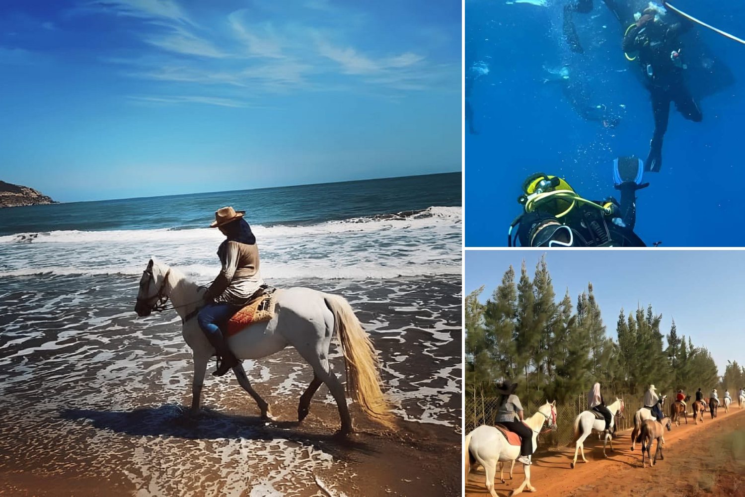 Snorkeling & Horse Riding Day Tour