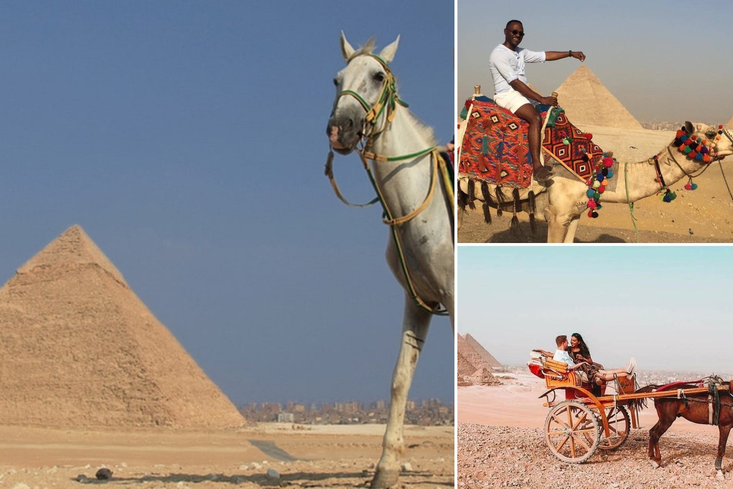 Camel, Horse or Carriage  Ride at the Pyramids