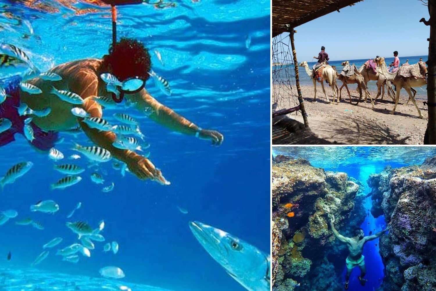 Dahab Full-Day Adventure
