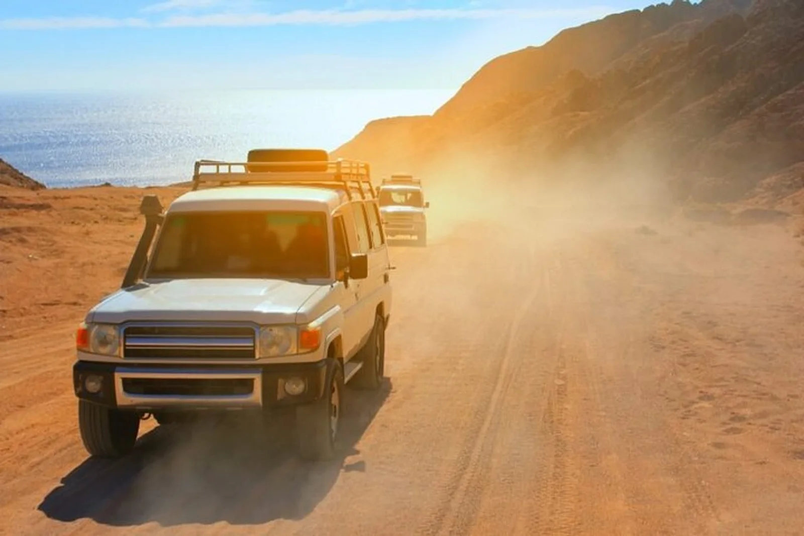 Desert Safari with Camels & VIP Dinner