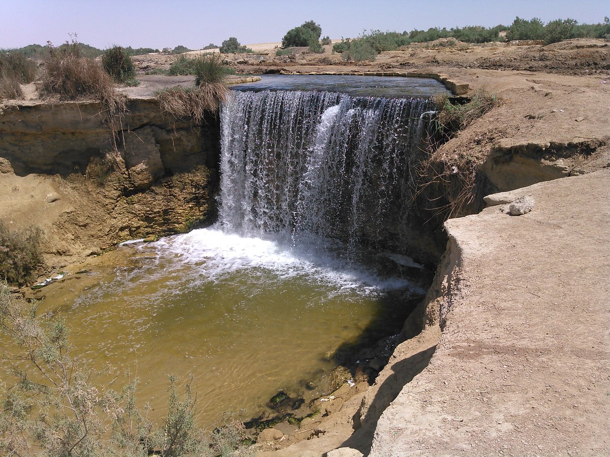 Fayoum Oasis Day Tour from Cairo