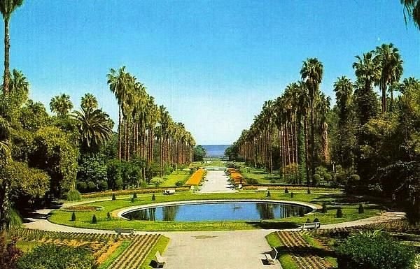Algiers Cultural Day Tour: Hamma Garden, Notre Dame d’Afrique & Army Museum