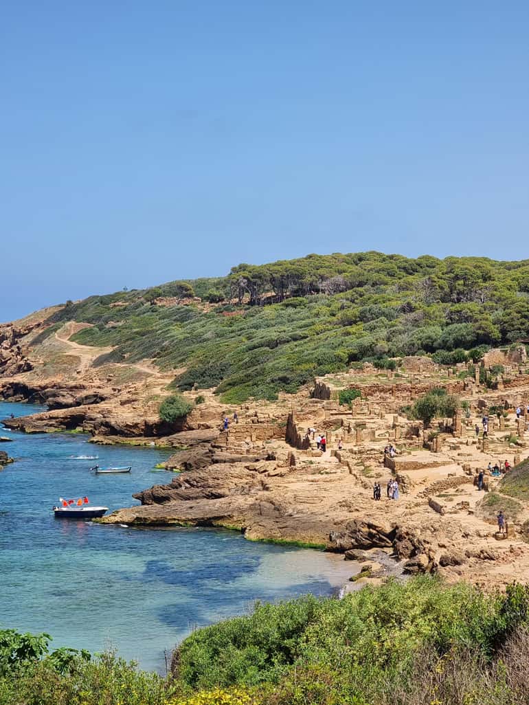 Private guided tour - Tipaza and Cherchel