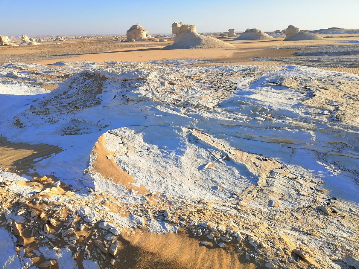 Fayoum Oasis Day Tour from Cairo