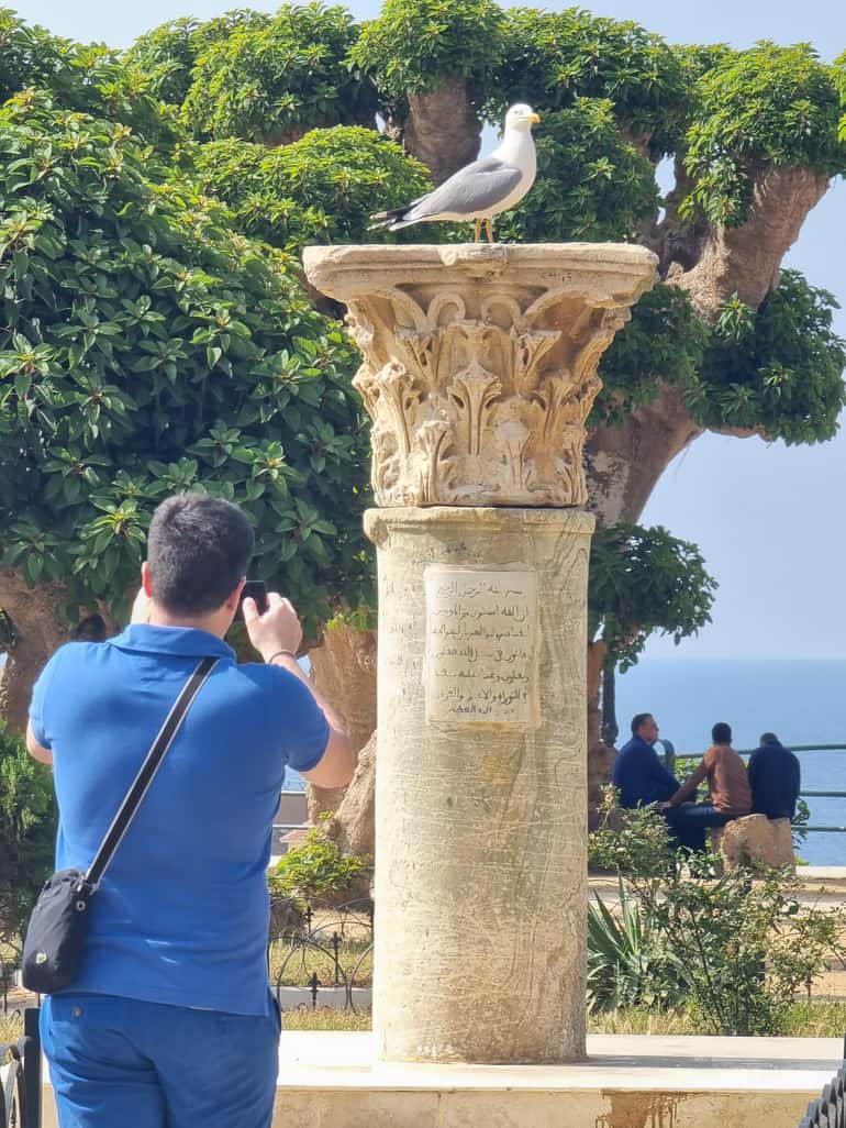 Private guided tour - Tipaza and Cherchel
