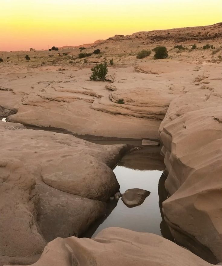 Algeria Highlights Tour - 2 Day