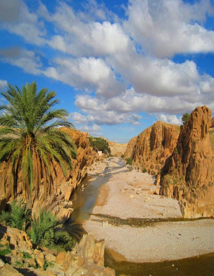 The soul of Algeria - included accommodation