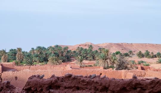 Timimoun Desert Tales